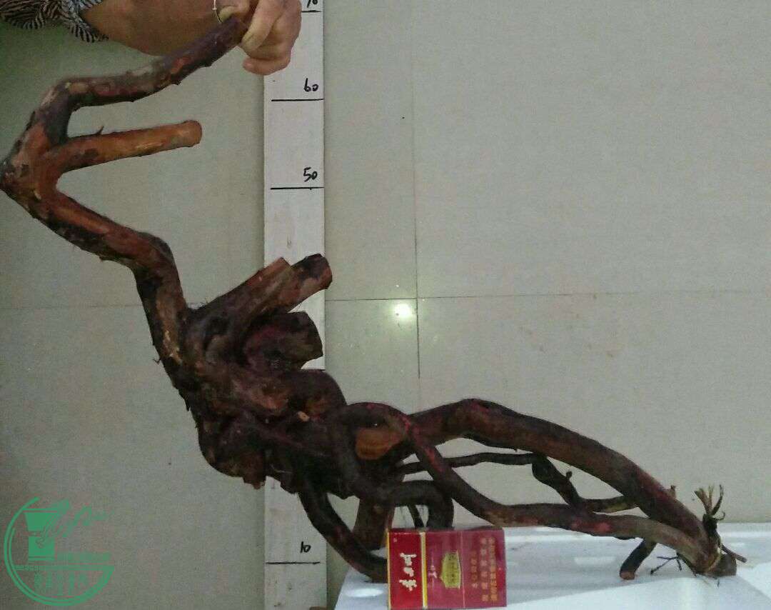 QQͼƬ20161014191226.jpg