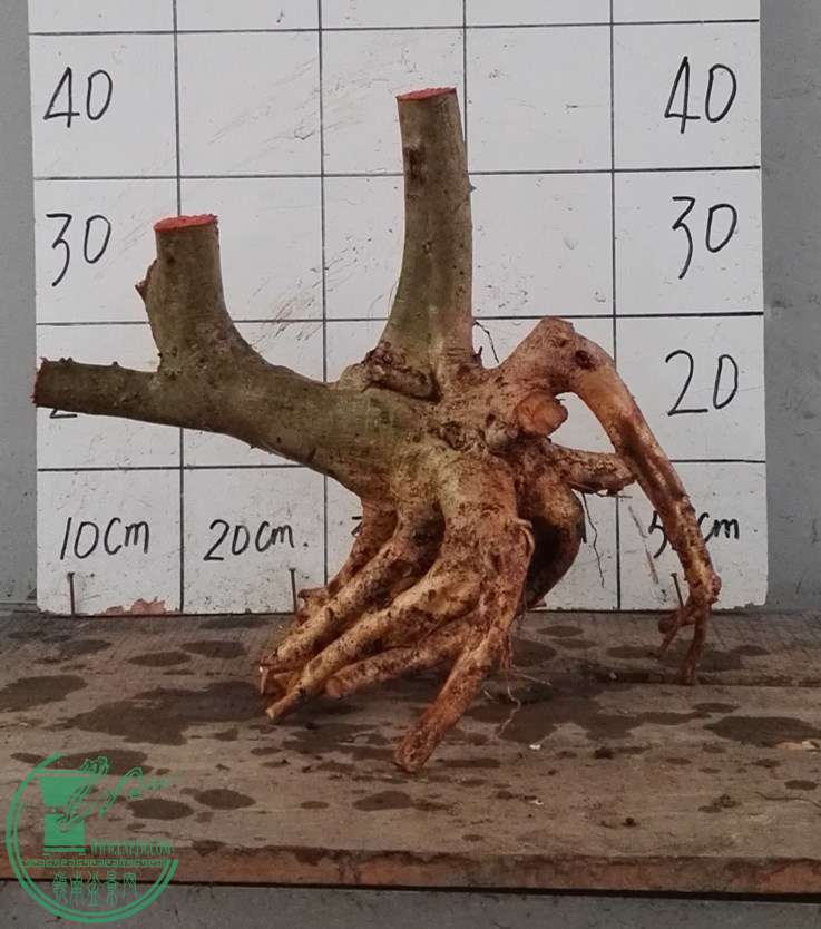 2ŶԽ130