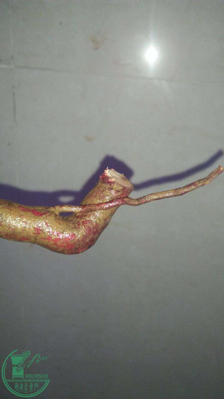 QQͼƬ20161015190335.jpg