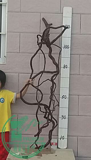 20161015_172511-1.jpg