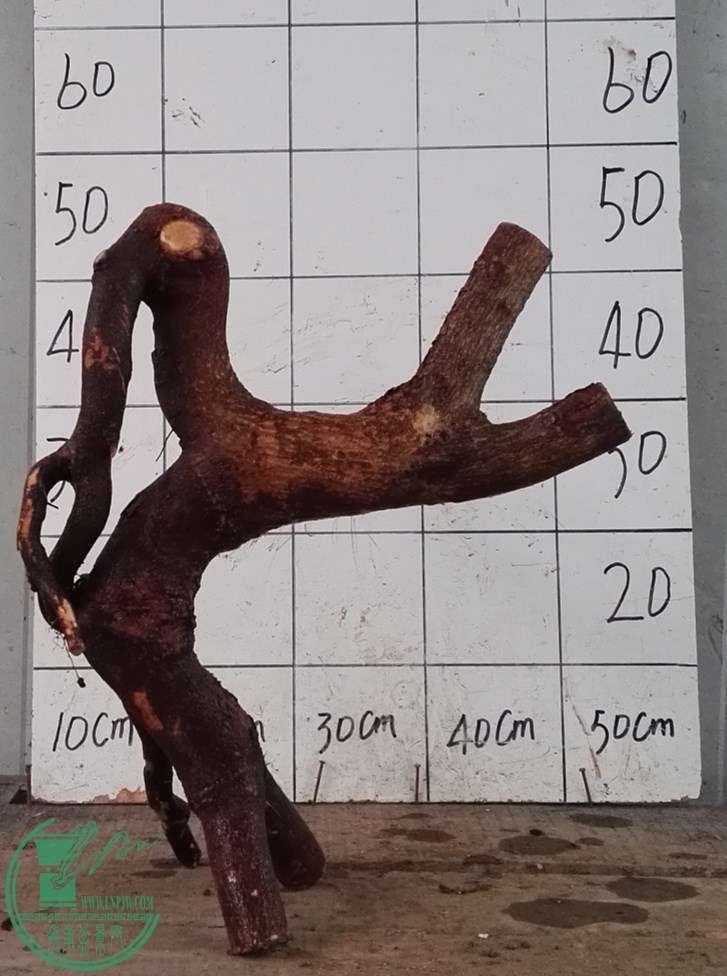 1Ƿ260