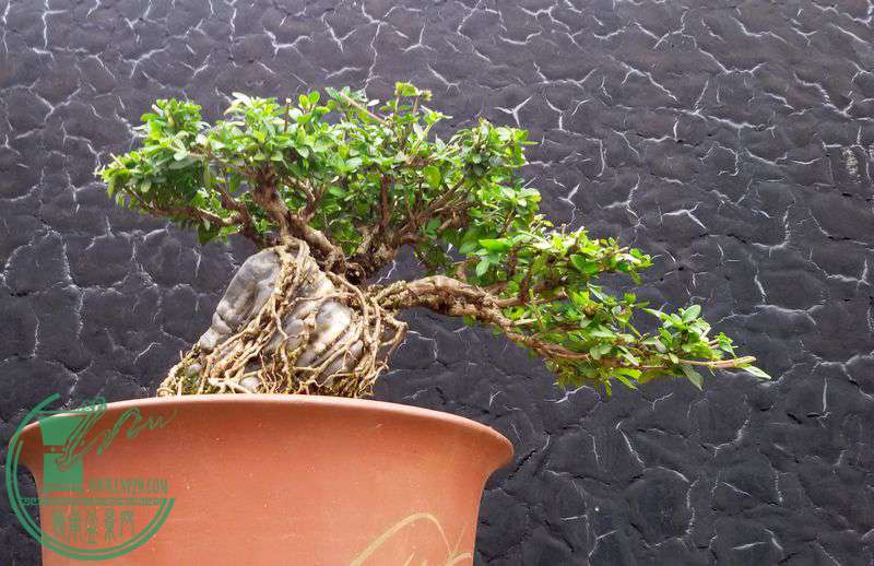 20161012_094746.jpg