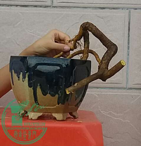 20161016_175023-1.jpg