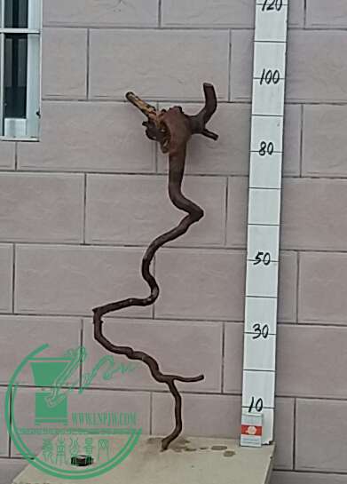 20161016_174013-1.jpg