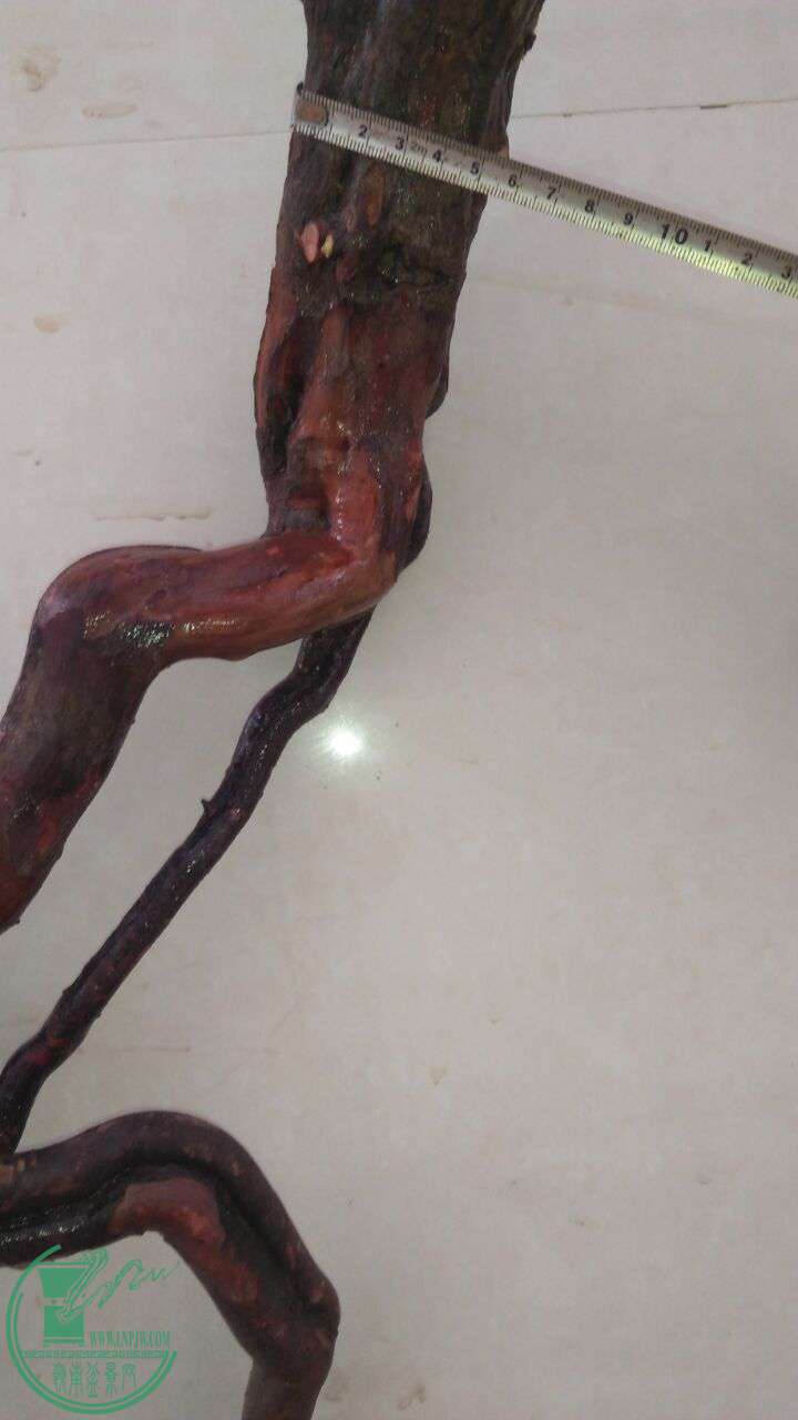 QQͼƬ20161016193508.jpg