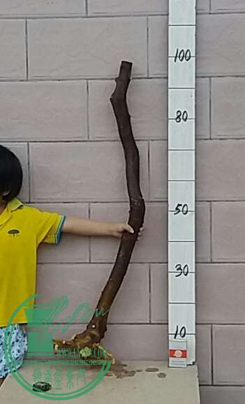 20161016_174108-1.jpg
