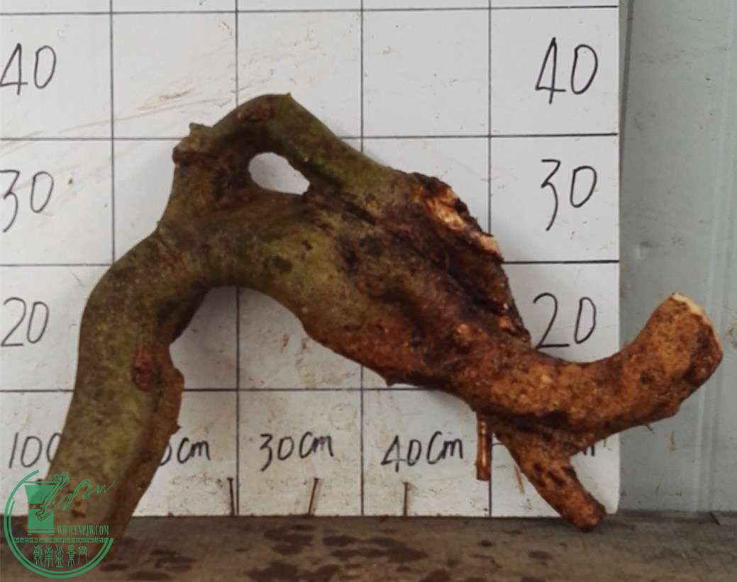 3ŶԽ350