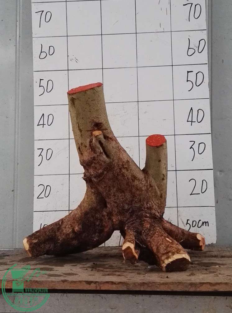 2280