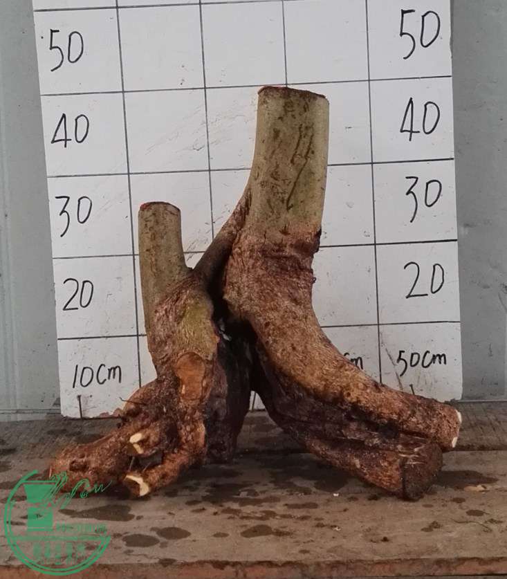 2280