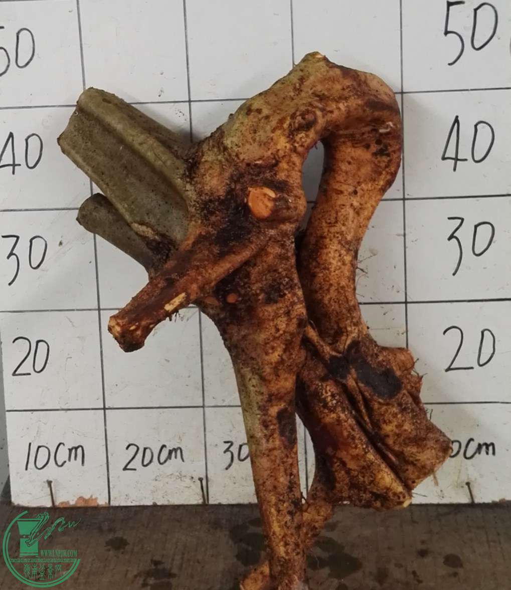2ŶԽ350