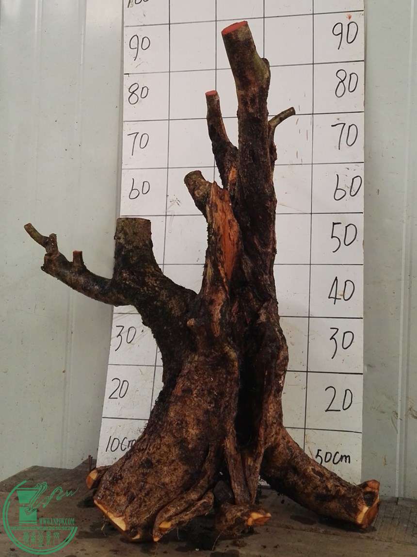 1ŶԽ560