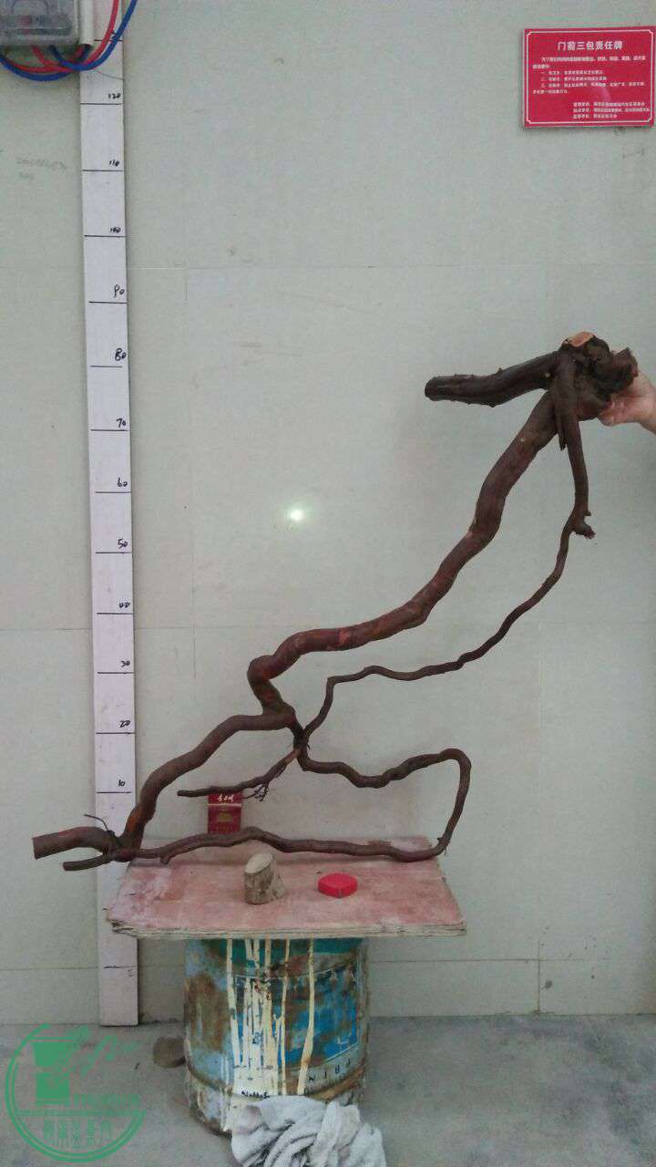 QQͼƬ20161019183604.jpg