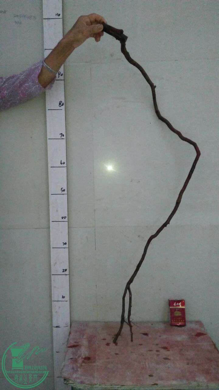 QQͼƬ20161019183535.jpg