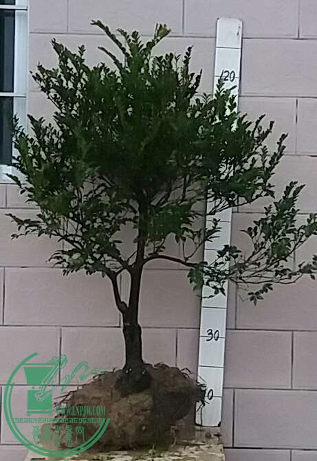 20161020_175320-1.jpg