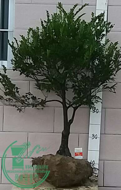 20161020_175102-1.jpg