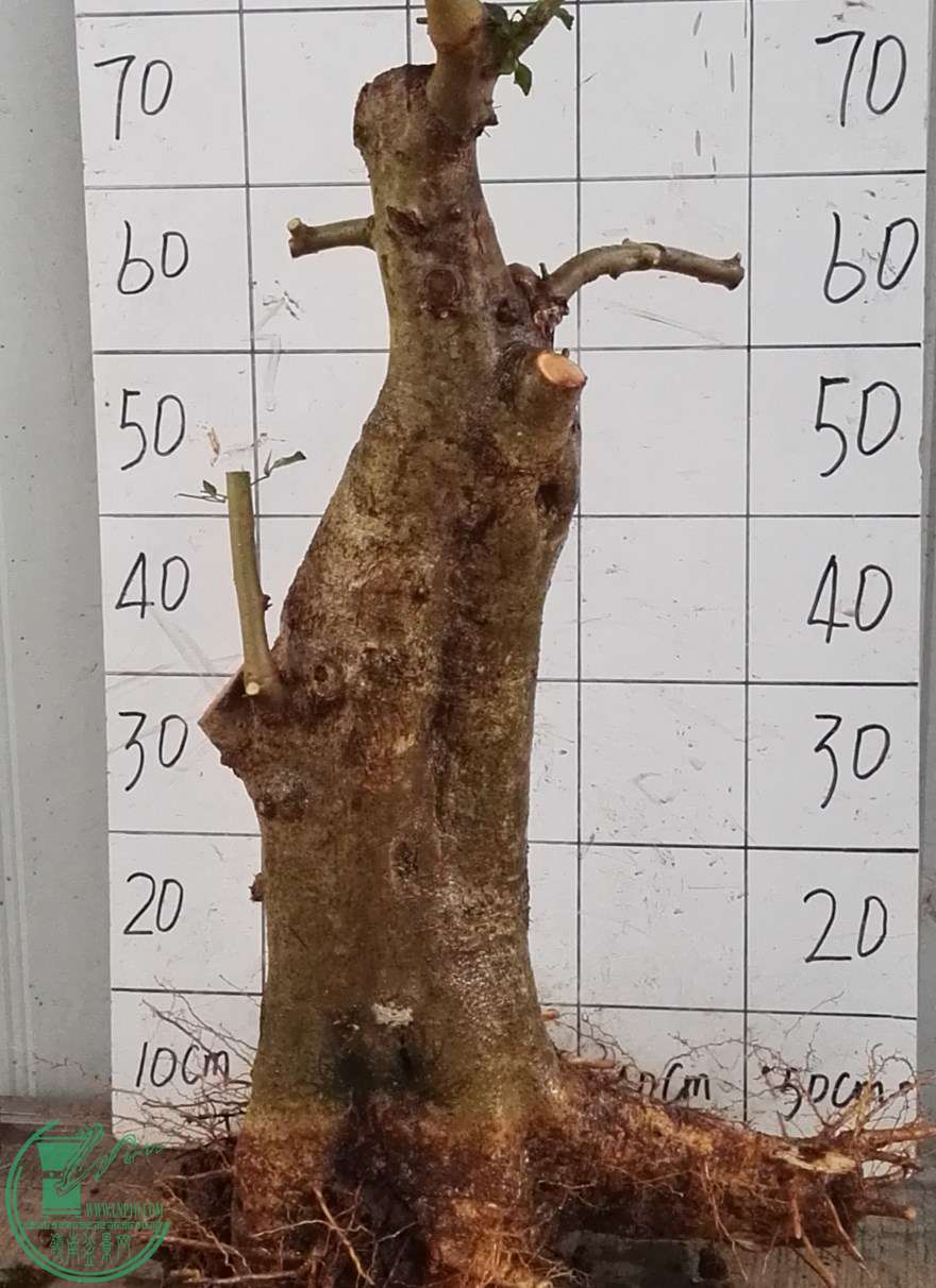 1600