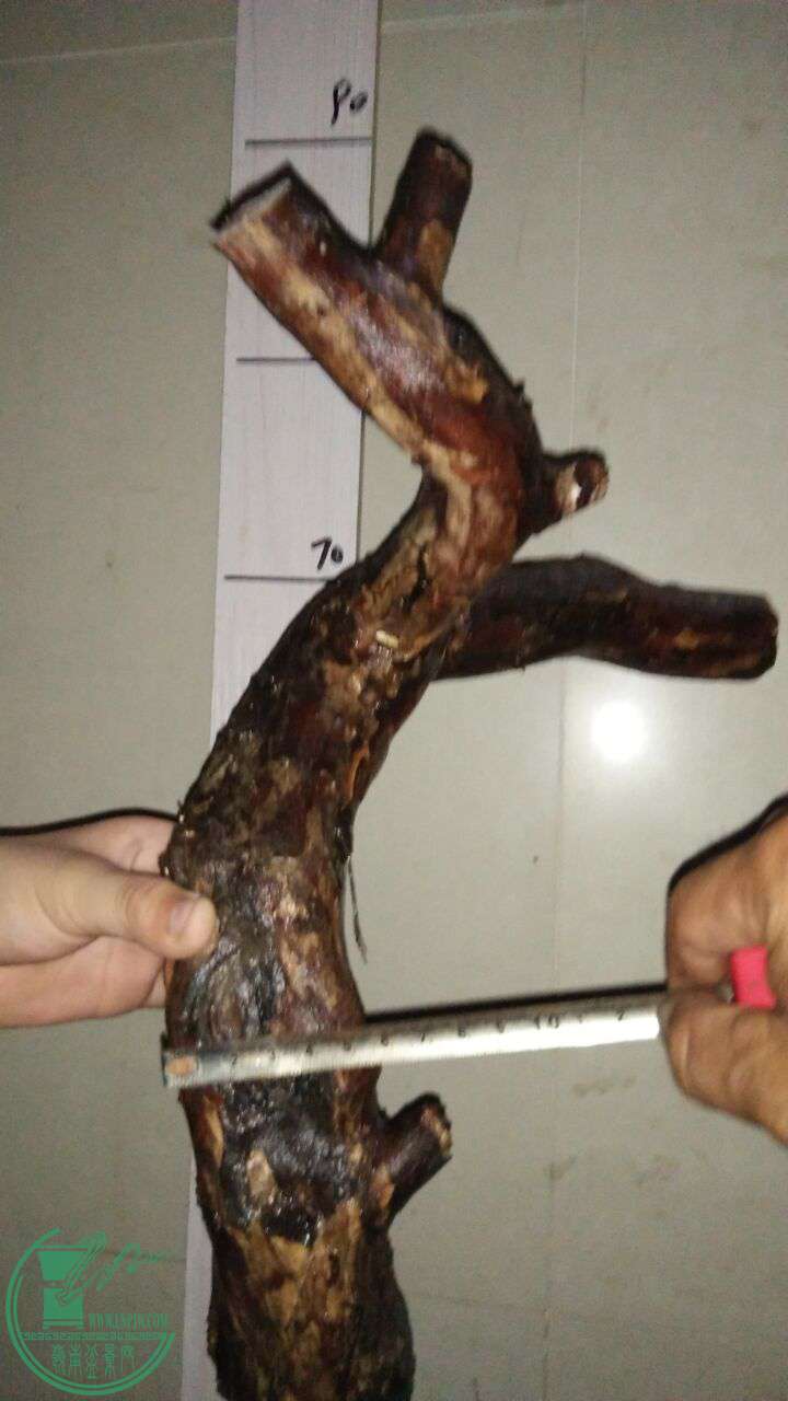QQͼƬ20161021191455.jpg