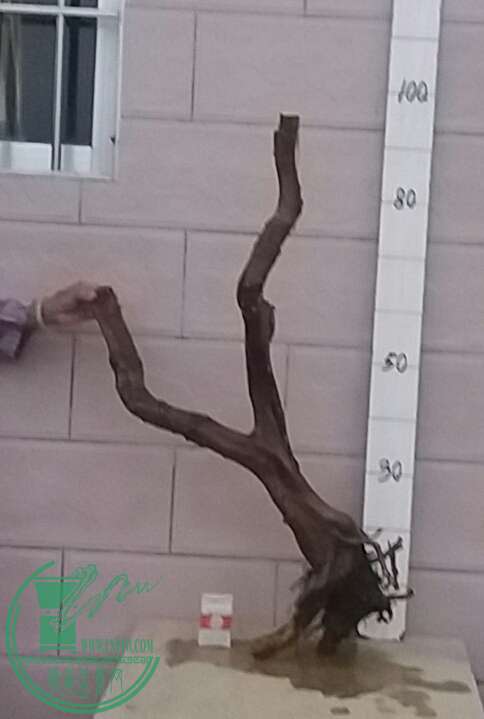 20161021_180423-1.jpg