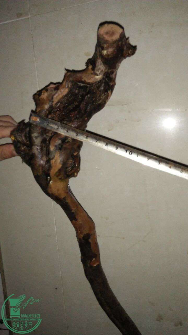 QQͼƬ20161021191531.jpg