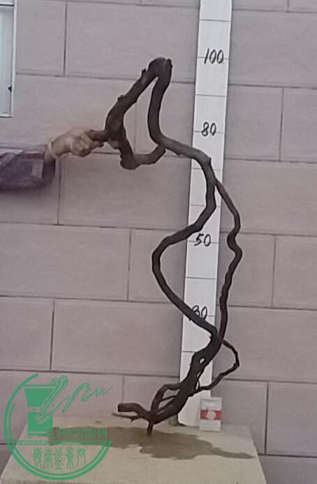 20161021_180241-1.jpg
