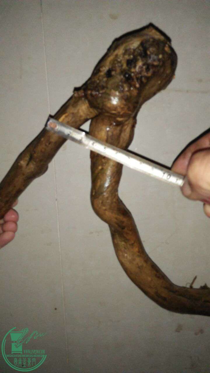 QQͼƬ20161021191517.jpg
