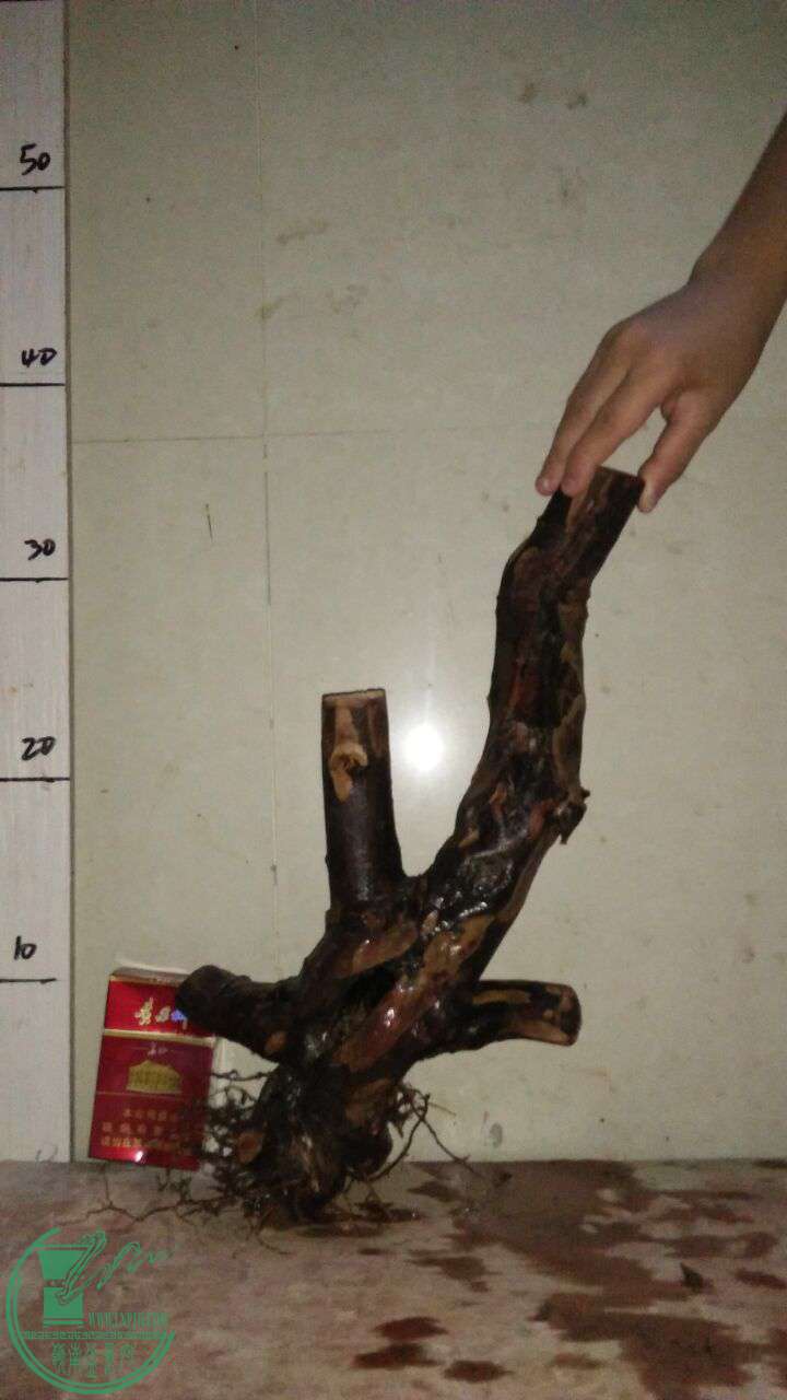 QQͼƬ20161021191643.jpg