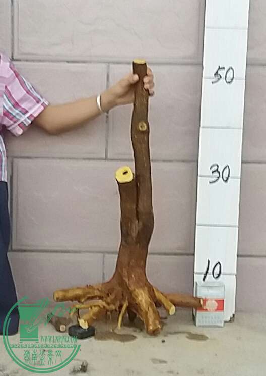 20161023_180517-1.jpg