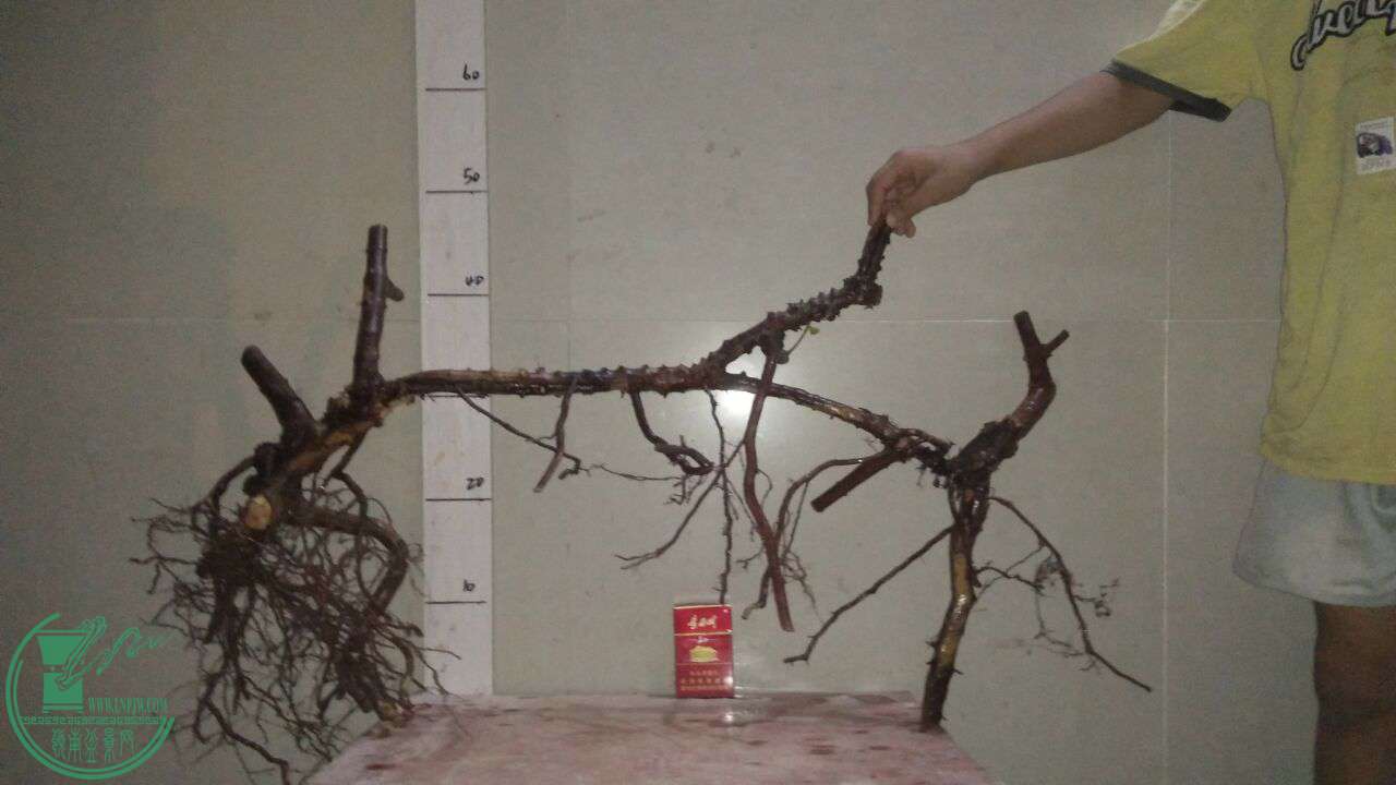 QQͼƬ20161023192031.jpg