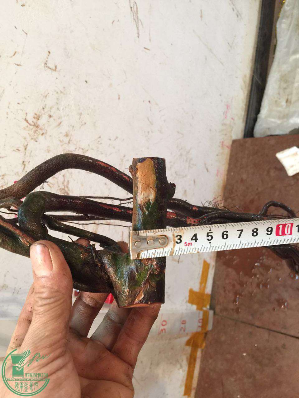 EC12ED49-E1EE-443D-96C2-E13E075D95AC.JPG