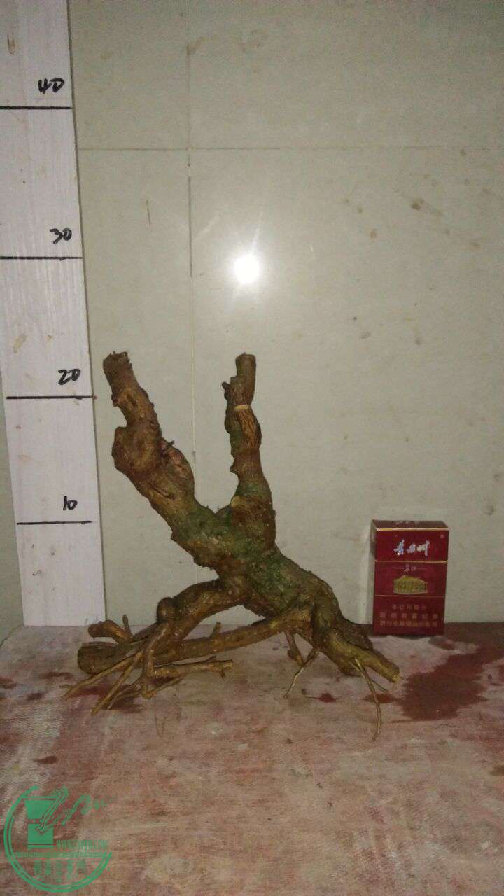 QQͼƬ20161023191925.jpg