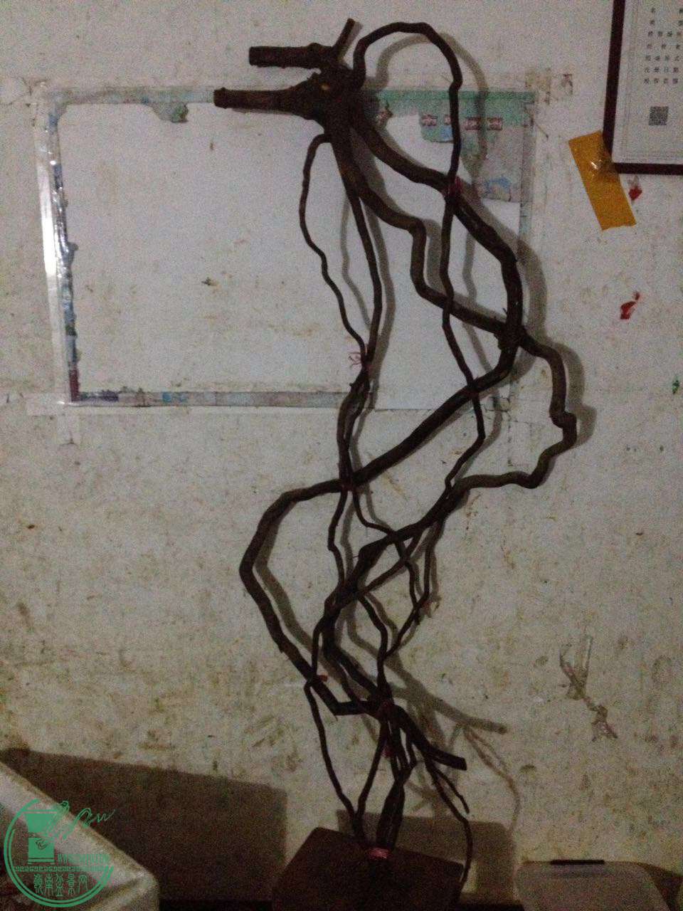 559890344452457260.jpg