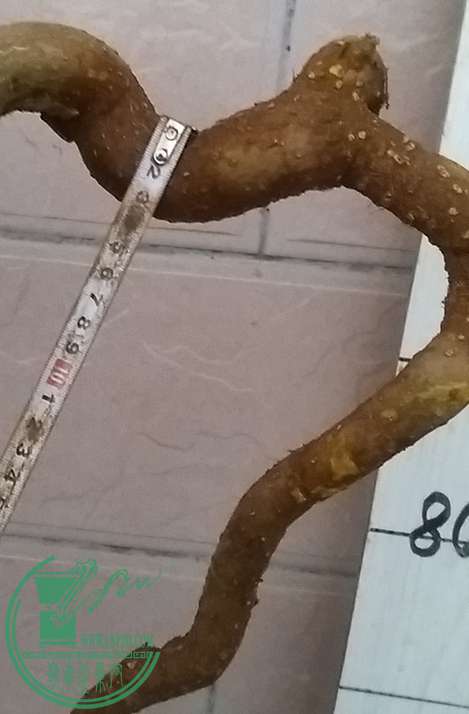 20161026_181057_mh1477478676611.jpg