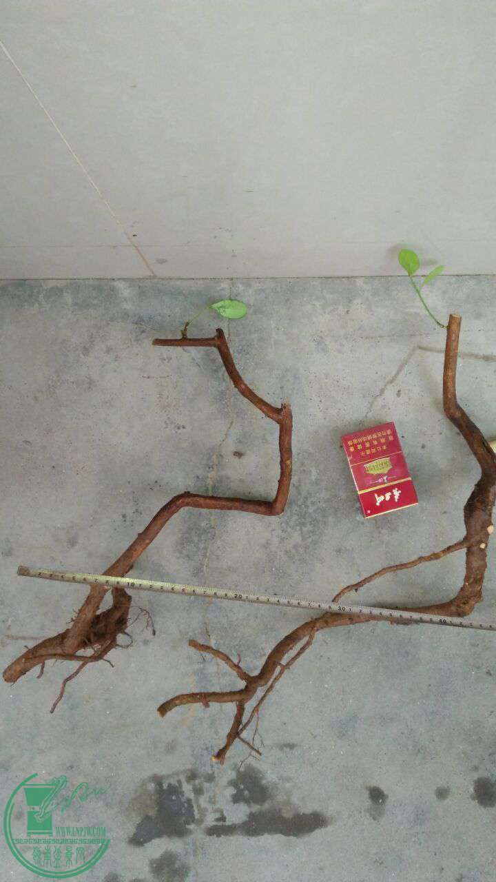 QQͼƬ20161026191031.jpg