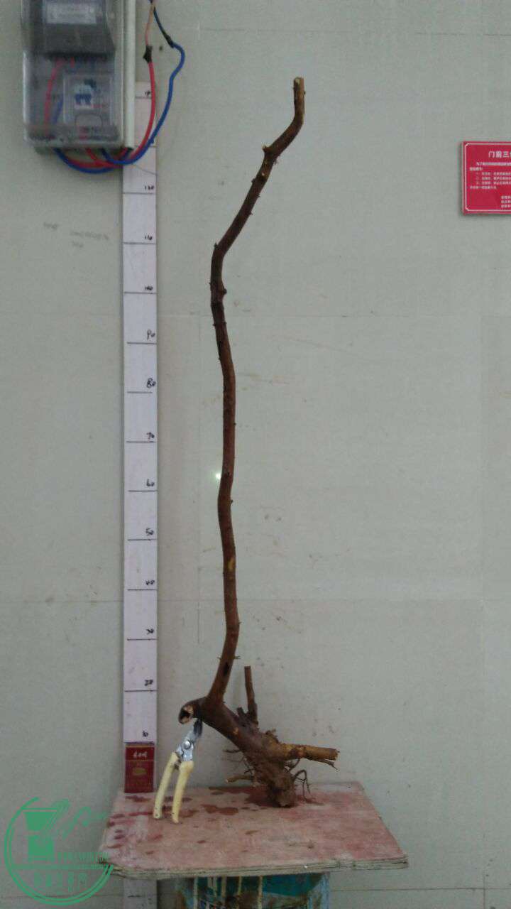 QQͼƬ20161026191055.jpg