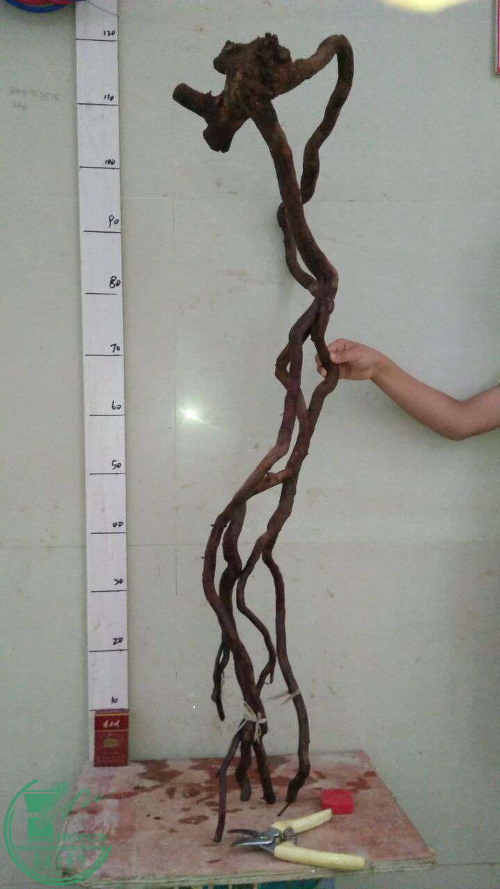 QQͼƬ20161027192906.jpg