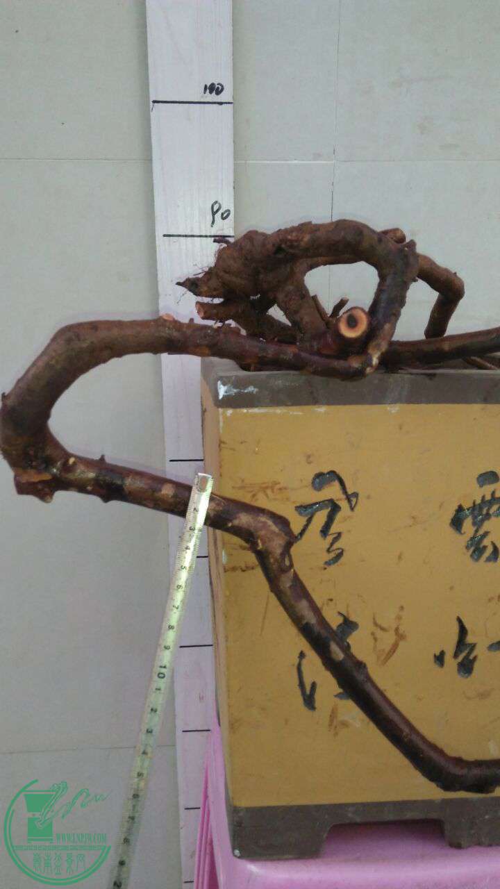 QQͼƬ20161028194217.jpg