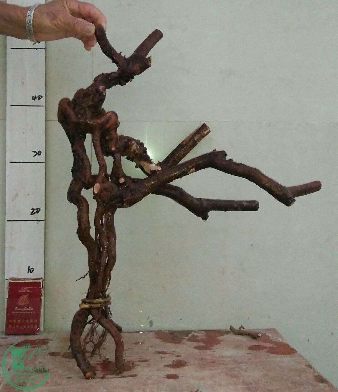 QQͼƬ20161028193844.jpg