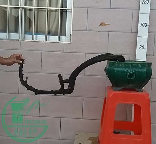 20161028_175751_mh1477651799703.jpg