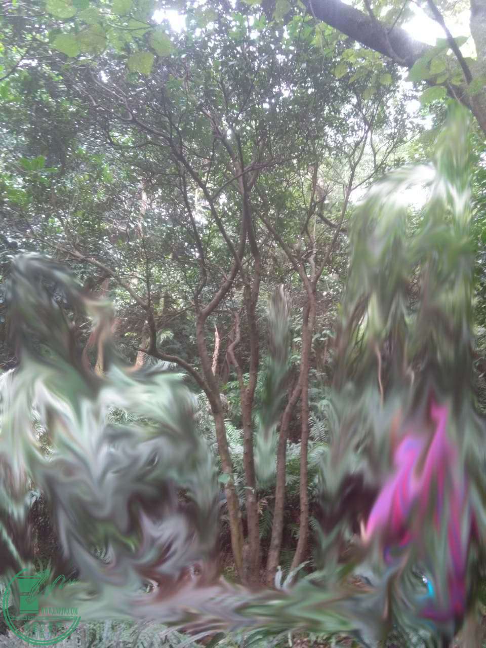 364497579810190220.jpg
