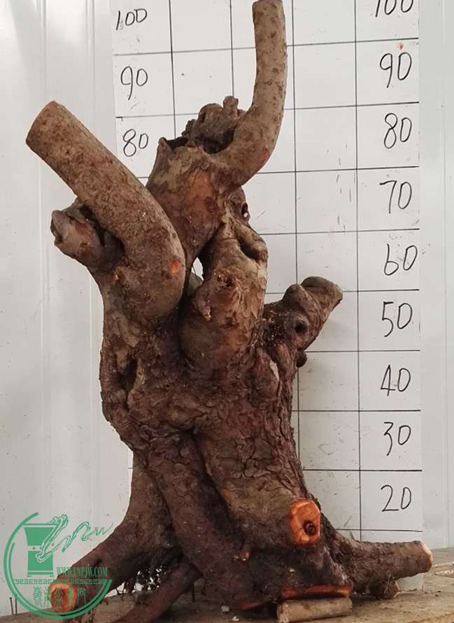1СҶ