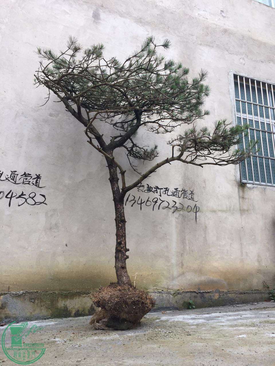 28069952798379044.jpg