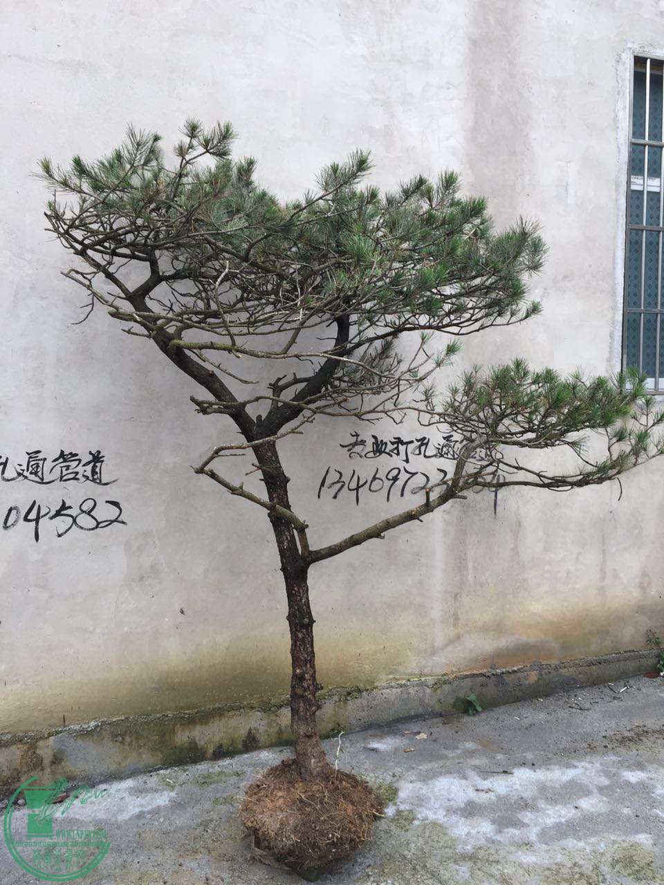 631756479193956155.jpg
