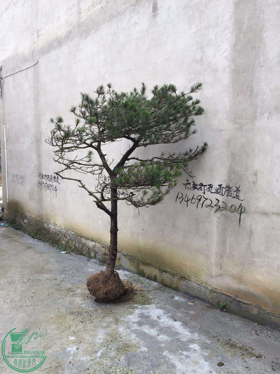 723724532317570014.jpg
