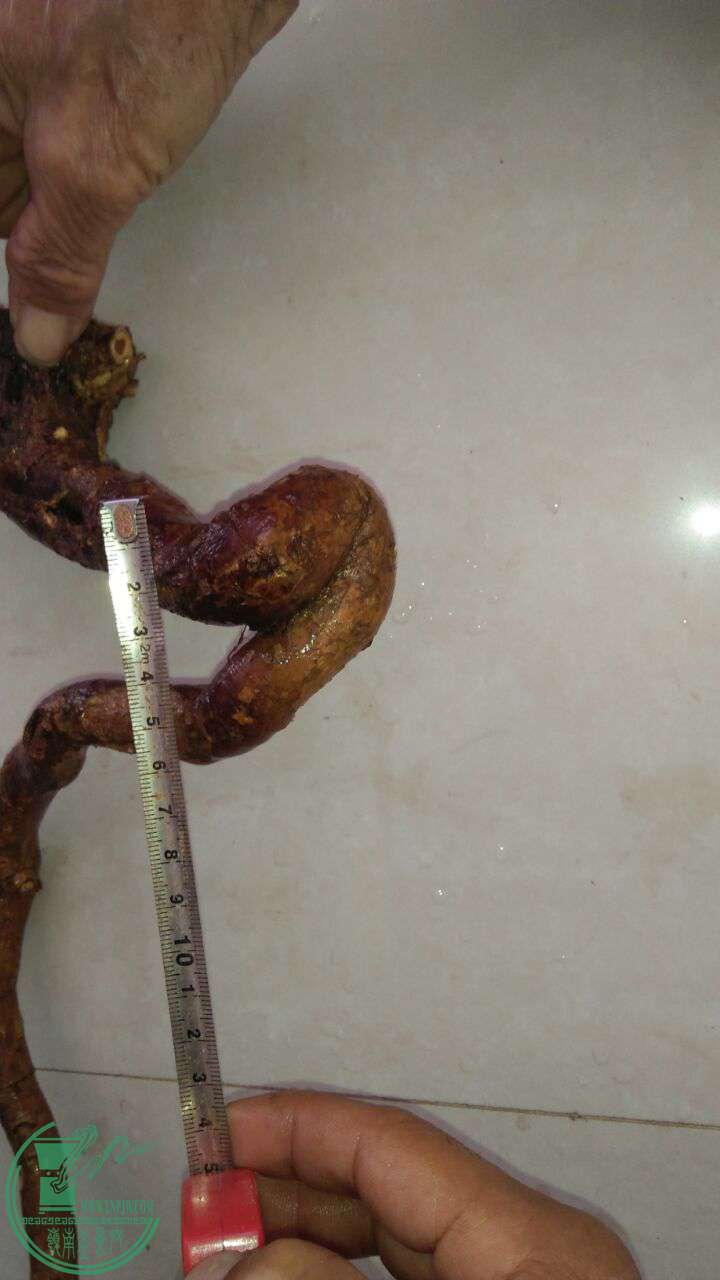 QQͼƬ20161101185701.jpg
