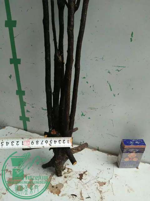 psb (1).jpg