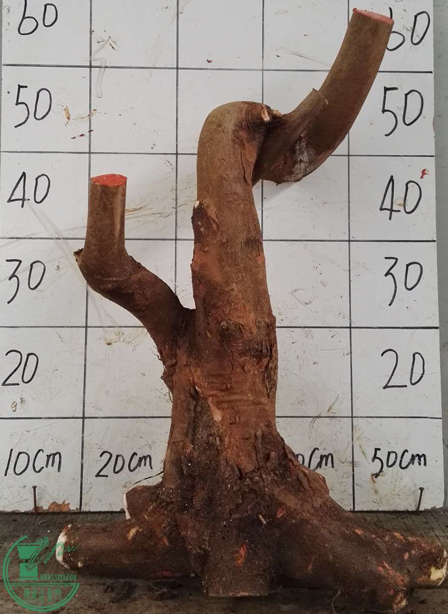 1СҶ450