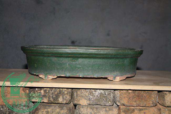 Ƭ 1204.jpg
