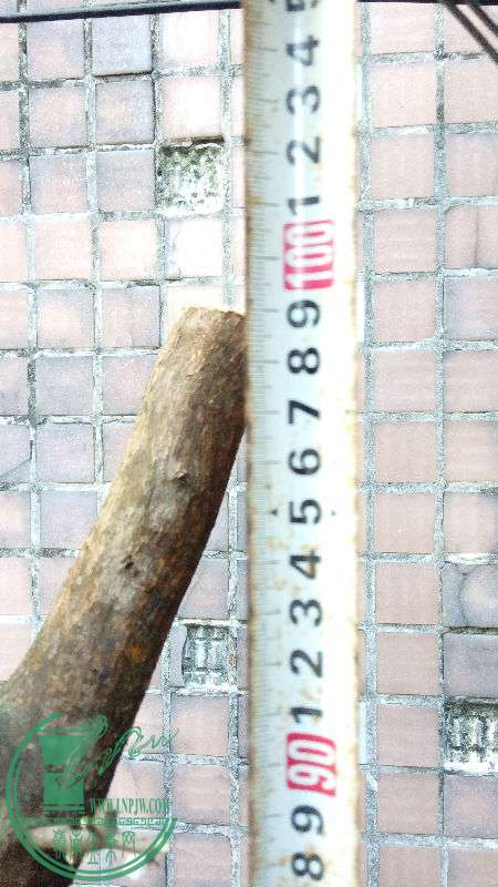 830496