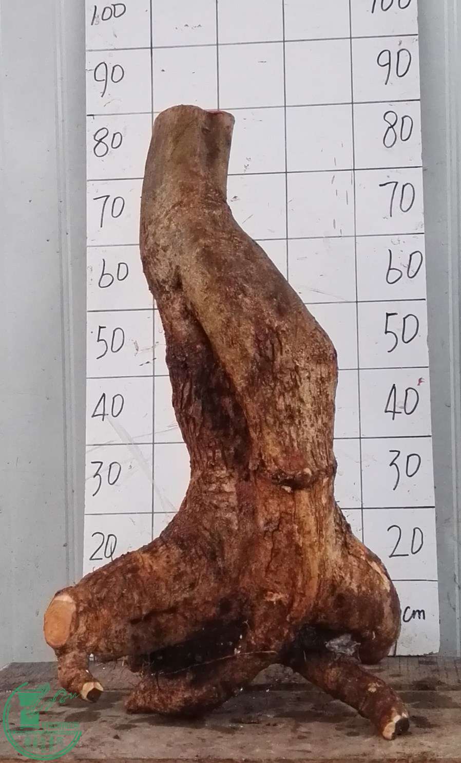 2ŶԽ700