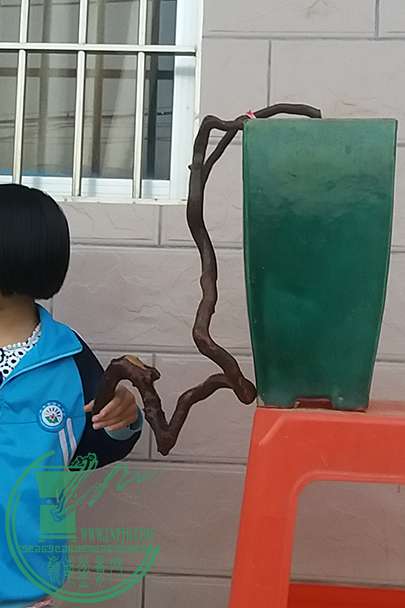 20161102_175023_mh1478084725285.jpg
